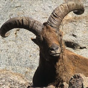 Azerbaijan Client Success