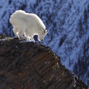 British Columbia Client Success