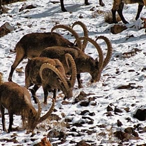 Kyrgyzstan Client Success