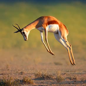 South Africa Client Success