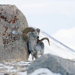 Tajikistan Client Success