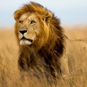 Tanzania Client Success