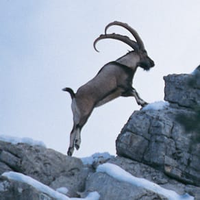 Turkey Client Success