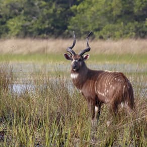 Uganda Client Success 