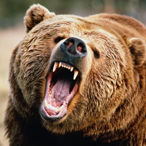 Yukon Client Success