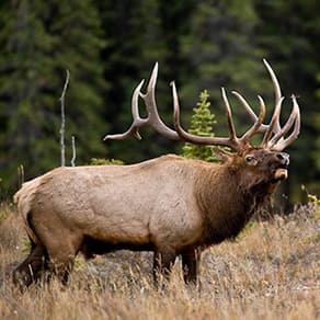 Lower 48 Client Success