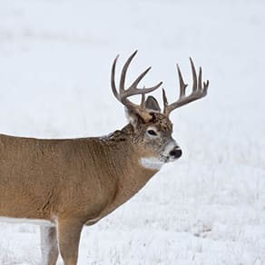 Saskatchewan Client Success