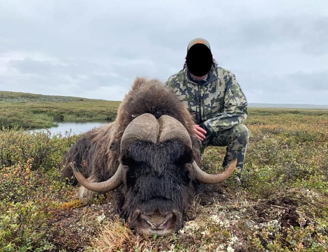 nunavut-28-b
