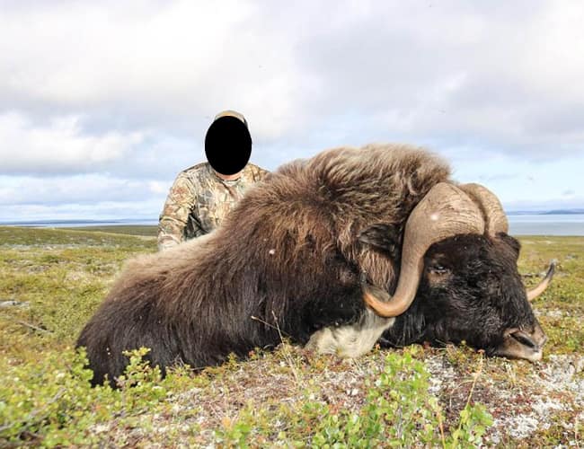nunavut-29-b