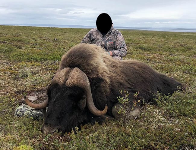 nunavut-31-b