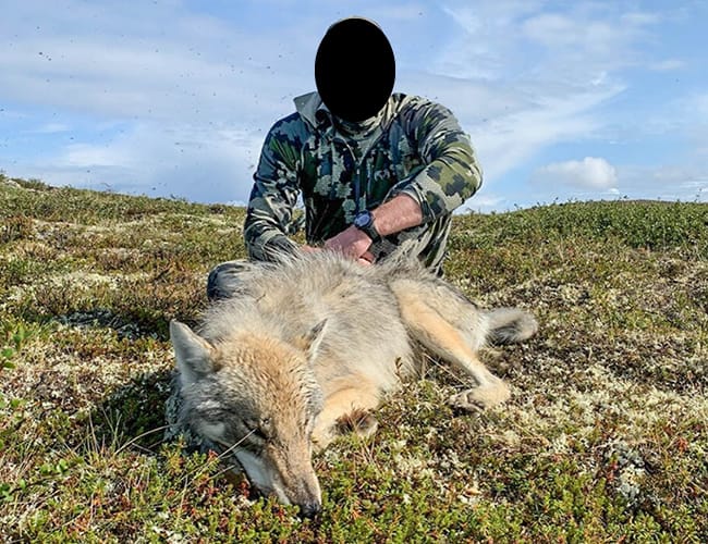 nunavut-33-b