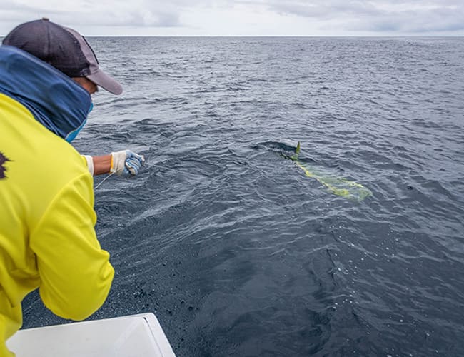 panama-fishing-10