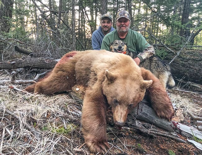 british-columbia-55