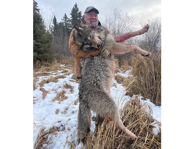alberta-47