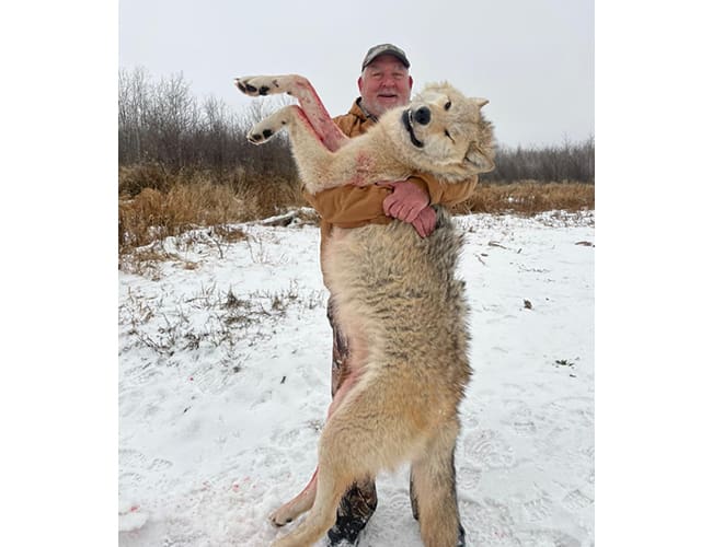 alberta-48
