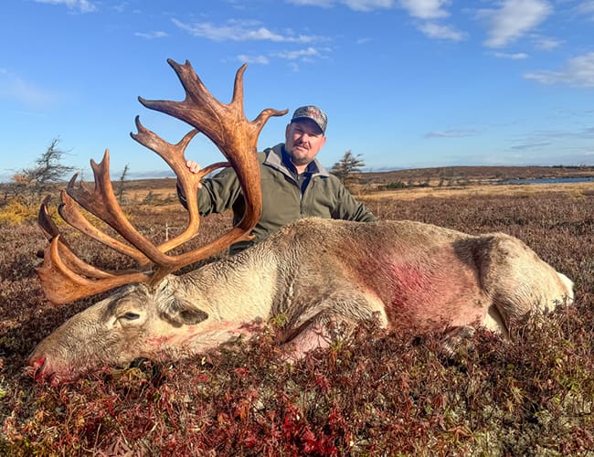 newfoundland-18
