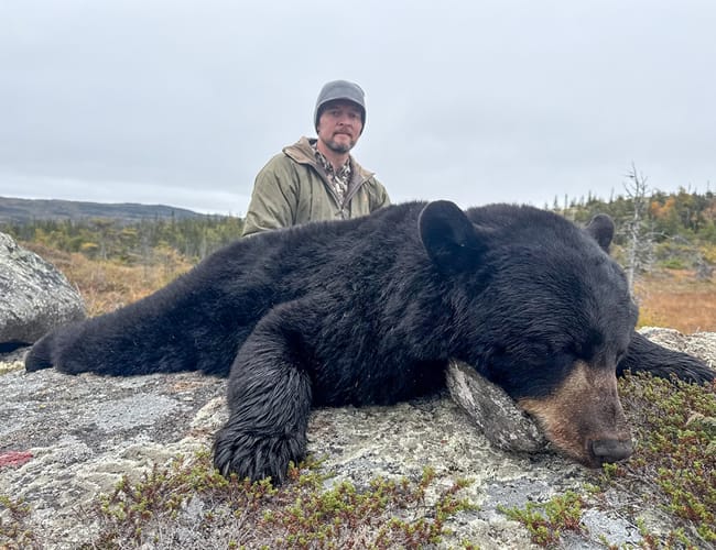 newfoundland-25