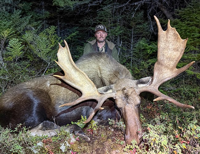 newfoundland-26