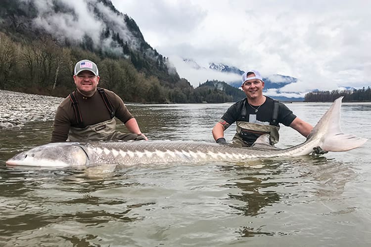 bc-sturgeon-30