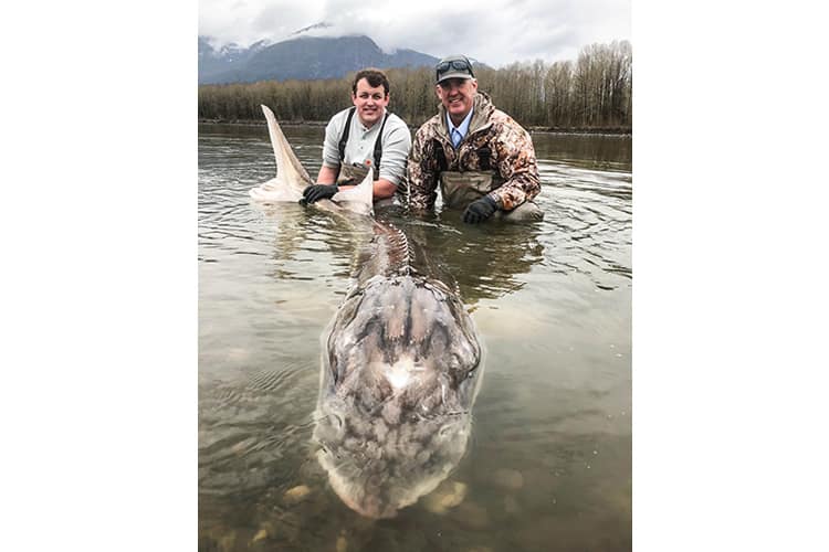 bc-sturgeon-31