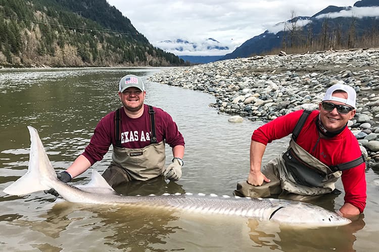 bc-sturgeon-34