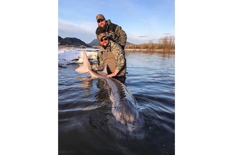 bc-sturgeon-36