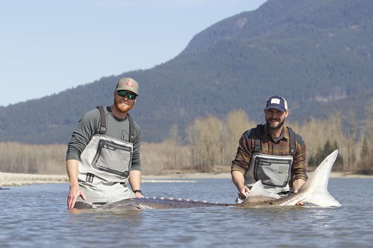 bc-sturgeon-45