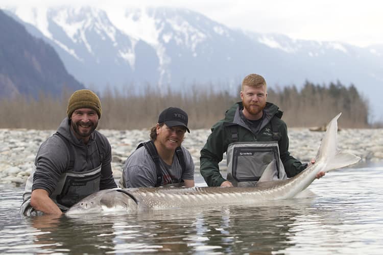 bc-sturgeon-46