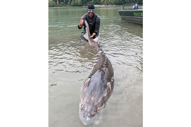 bc-sturgeon-60