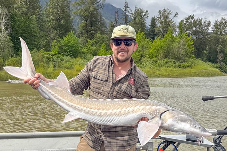 bc-sturgeon-65