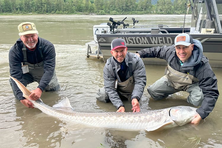 bc-sturgeon-69